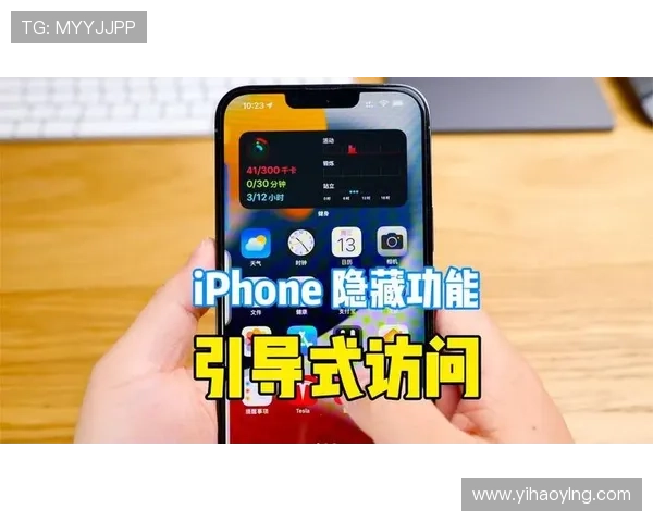 壹号官网入口：壹号平台官方入口的安全访问技巧